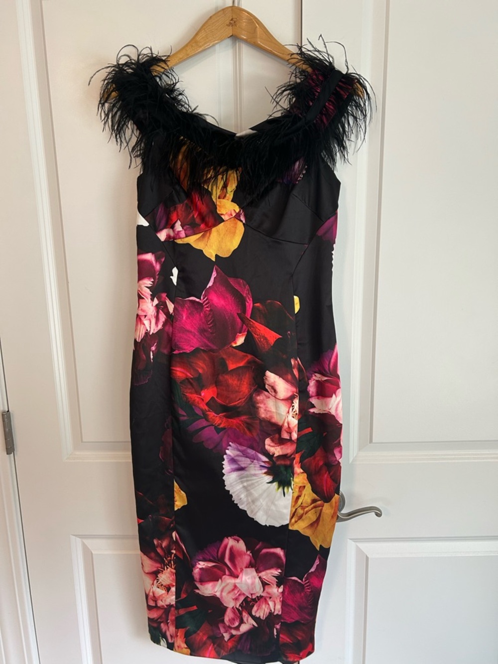 Coast satin floral dress with feather neckline